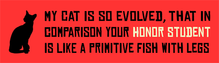 cat_evolution_bumper